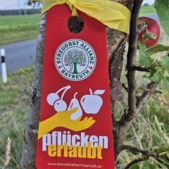 GelbesBand